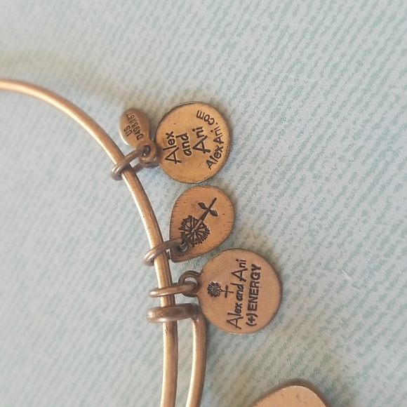 Alex and Ani NFL Giant Bracelet - Picture 6 of 8